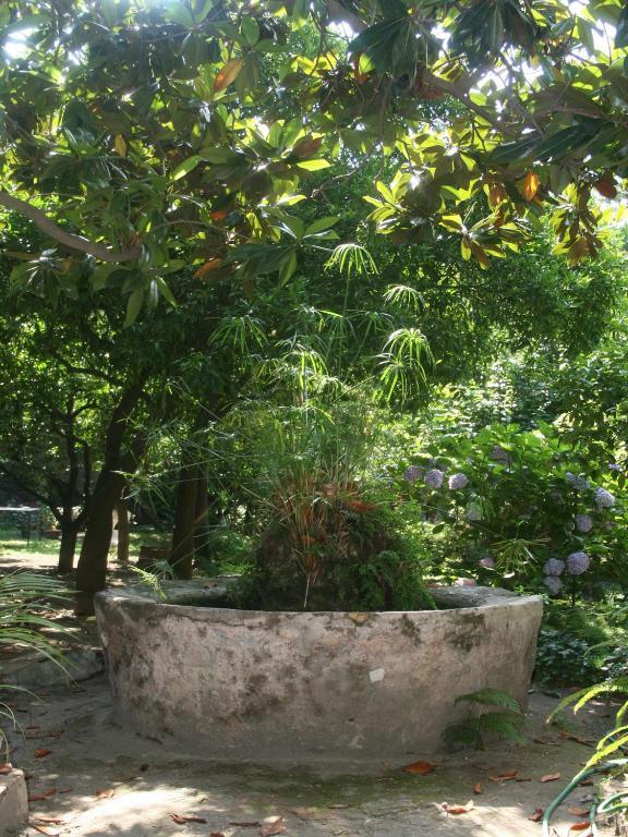 Il Giardino Di Tonia - Oplontis Guest House - Bed & Garden - 토레 안눈치아타 외부 사진